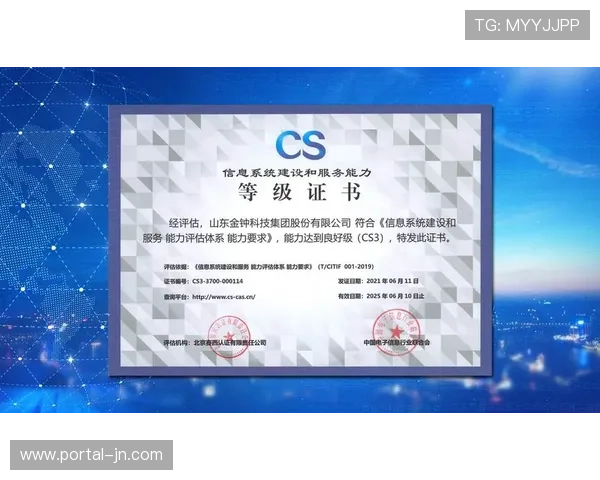 服务商体系在市场调整期加速优胜劣汰 专业化集成能力成为核心竞争力 服务商体系在市场调整期加速优胜劣汰 专业化集成能力成为核心竞争力
